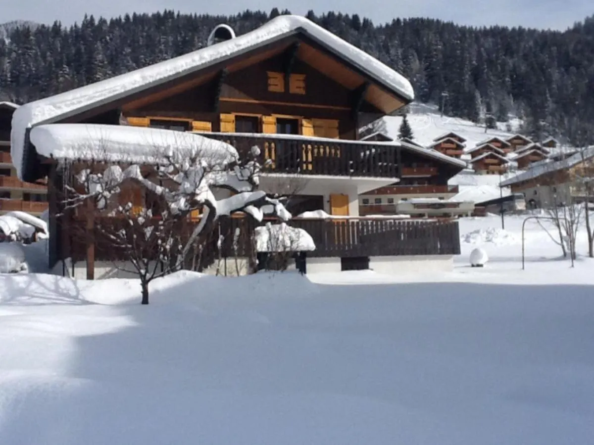 Chalet Perce Neige Châtel